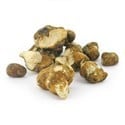 Trufas mágicas Tampanensis