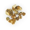 Trufas mágicas Tampanensis