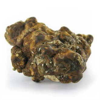 Hollandia Magic Trufas