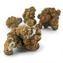 Trufas Mágicas Utopia