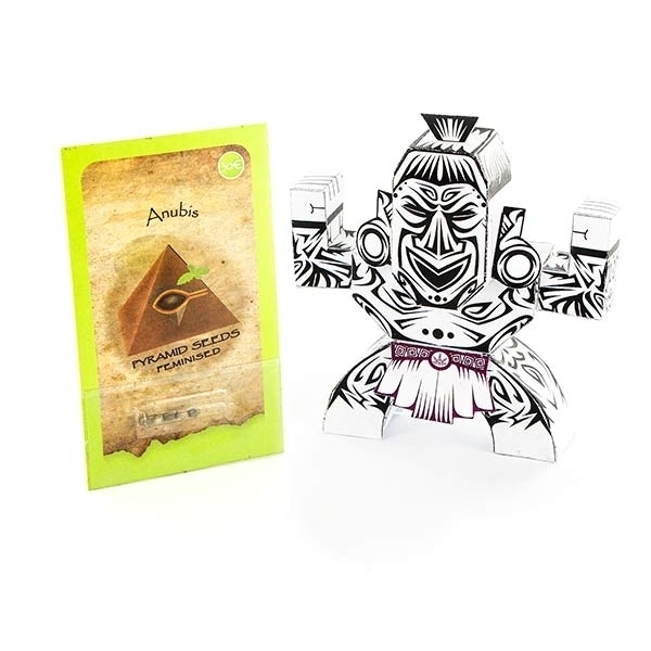 Anubis (Pyramid Seeds) feminizada