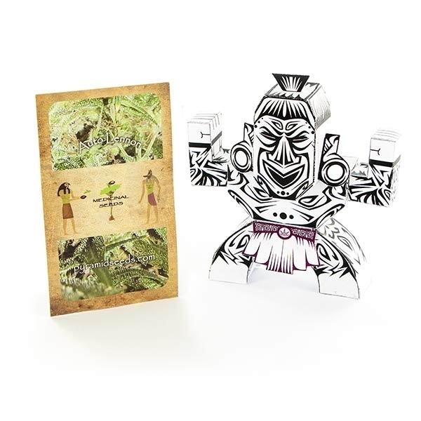 Auto Lennon (Pyramid Seeds) Feminizada