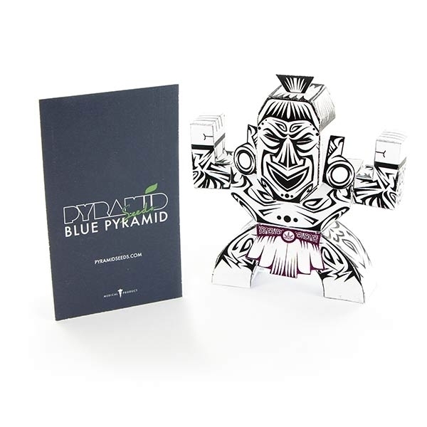 Blue Pyramid (Pyramid Seeds) feminizada