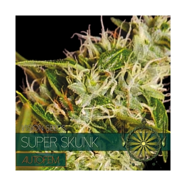 Super Skunk Autoflorescente (Vision Seeds) feminizada