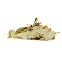 White Lotus (20 gramas)