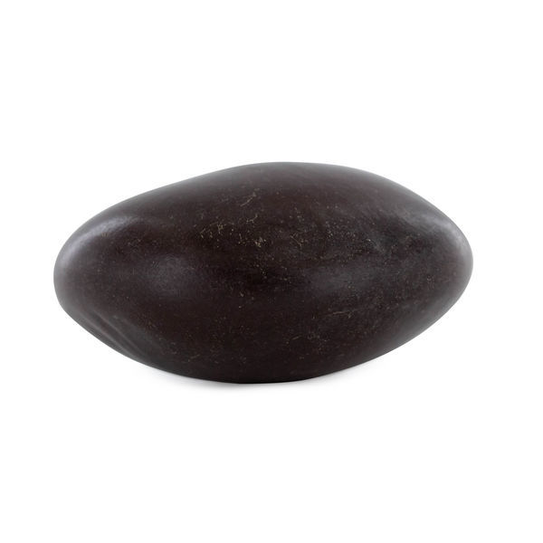 African Dream Seeds (1 semente)