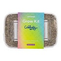 Zamnesia Grow Kit "Cambodia"