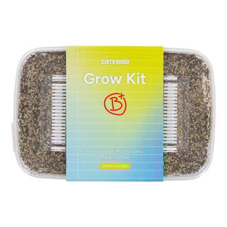 Zamnesia Kit de Cultivo 'B+'