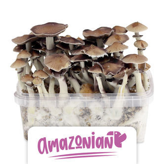 Kit de cultivo Zamnesia 'PES Amazonian'