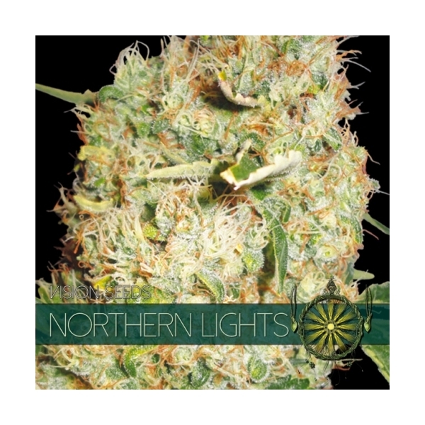 Northern Lights (Vision Seeds) feminizada