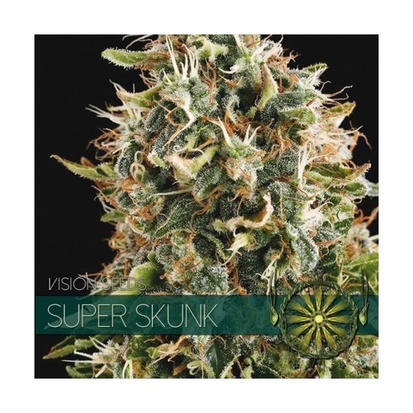 Super Skunk (Vision Seeds) feminizada