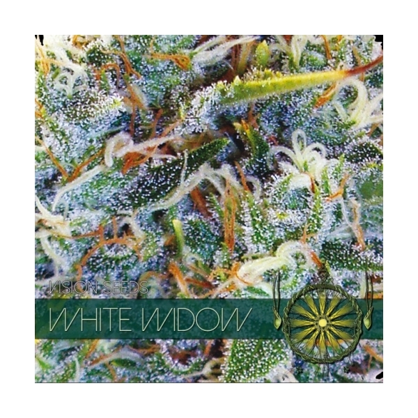 White Widow (Vision Seeds) feminizada