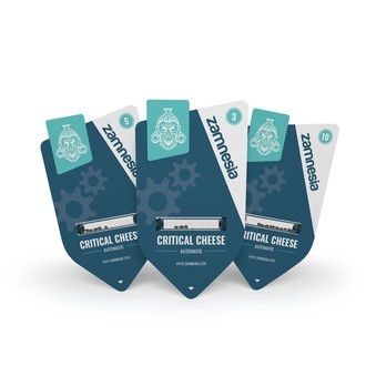 Critical Cheese Autoflower (Zamnesia Seeds) feminizada