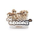 Kit de cultivo de cogumelos frescos 'McKennaii'