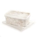 Kit de cultivo de cogumelos frescos 'McKennaii'
