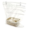 Kit de cultivo de cogumelos frescos 'McKennaii'
