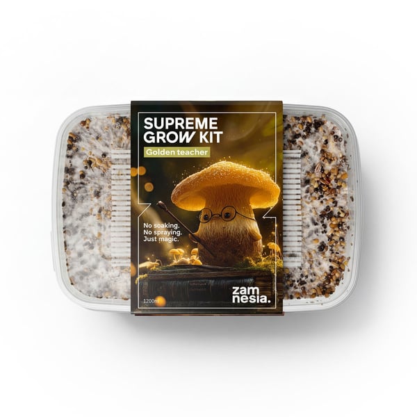 Kit de cultivo Zamnesia SUPREME ‘Golden Teacher’