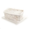 Kit de cultivo Fresh Mushrooms 'Mexican'