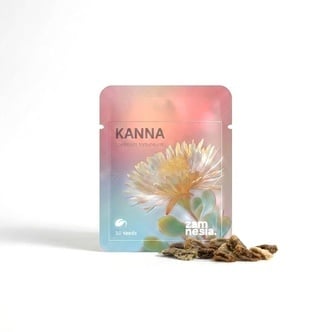Kanna (Sceletium tortuosum) 10 unidades