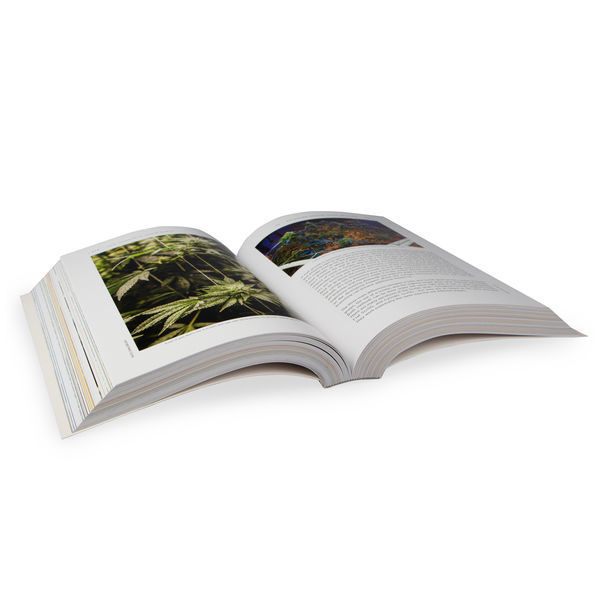 The Cannabis Grow Bible (Inglês - 3.ª Edição)