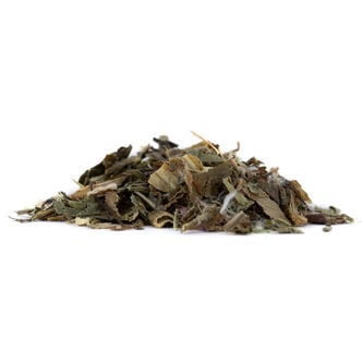Alface-brava – Lactuca virosa