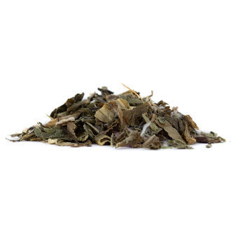 Alface-brava – Lactuca virosa