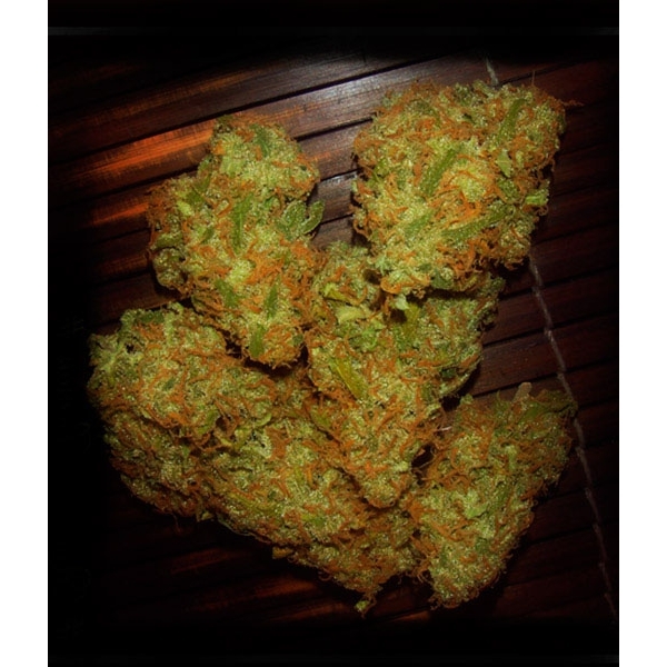 Amnezia VIP (VIP Seeds) feminizada