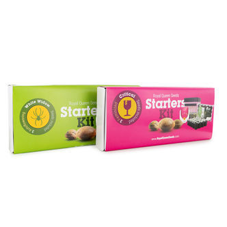 Kit Inicial da Royal Queen Seeds