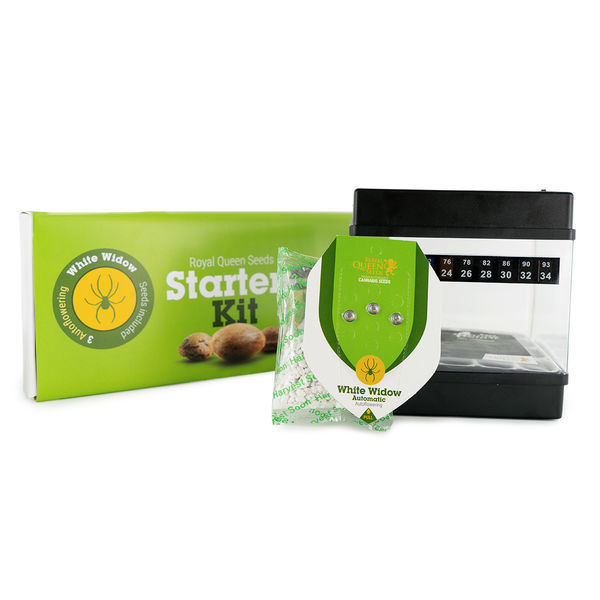 Kit Inicial da Royal Queen Seeds