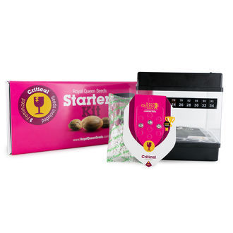 Kit Inicial da Royal Queen Seeds