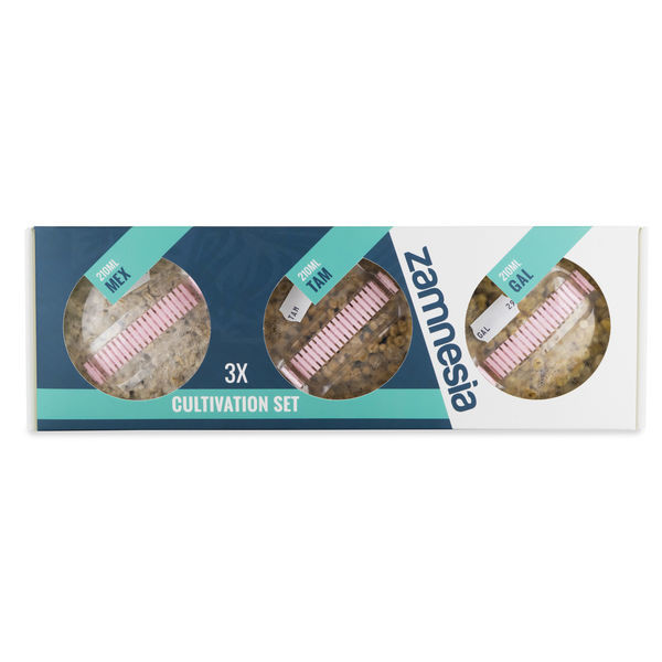 Conjunto de cultivo de trufas mágicas Zamnesia