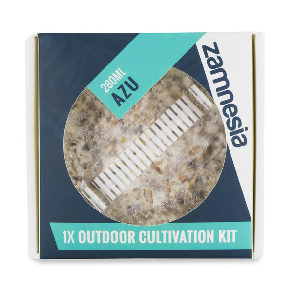 Kit de cultivo outdoor de cogumelos mágicos (Azurescens)