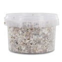 Kit de cultivo outdoor de cogumelos mágicos (Azurescens)