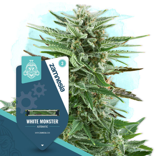 White Monster Autoflower (Zamnesia Seeds) Feminizada