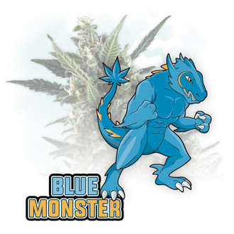 Blue Monster Autoflower (Zamnesia Seeds) feminizada