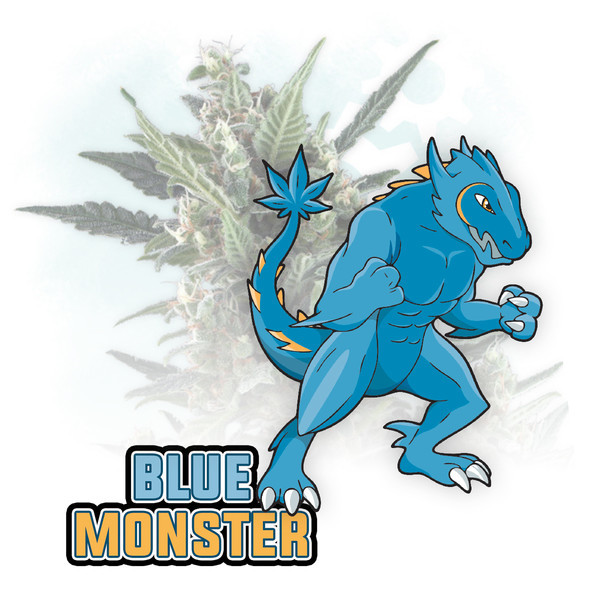 Blue Monster Autoflower (Zamnesia Seeds) feminizada