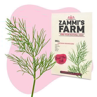 Pack Amigo de Endro (Anethum graveolens)