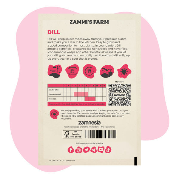 Pack Amigo de Endro (Anethum graveolens)