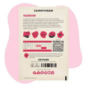 Pack Amigo de Milefólio (Achillea millefolium)