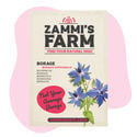 Pack Amigo de Borragem (Borago officinalis)