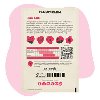 Pack Amigo de Borragem (Borago officinalis)