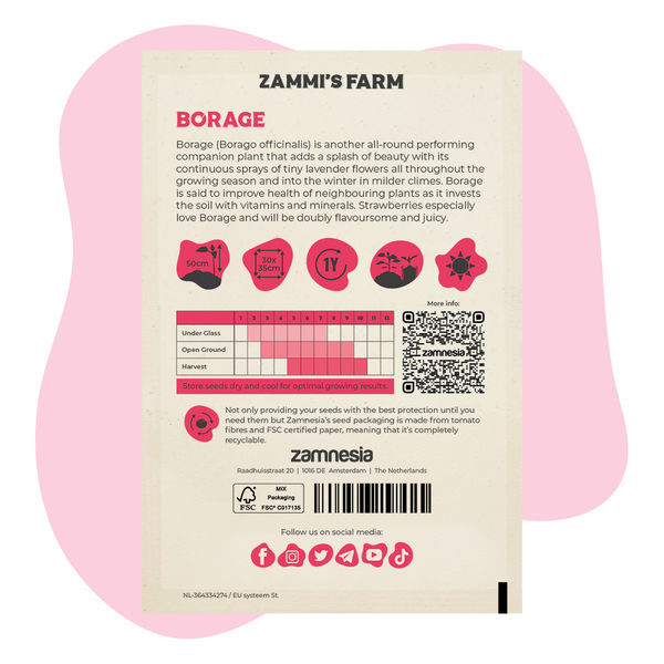 Pack Amigo de Borragem (Borago officinalis)