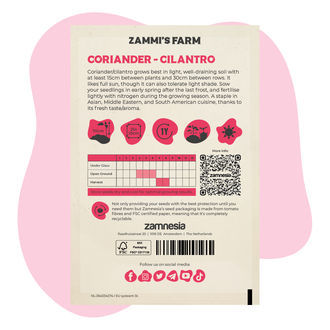 Pack Amigo de Coentros (Coriandrum sativum)