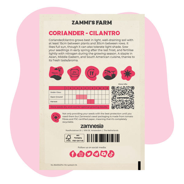 Pack Amigo de Coentros (Coriandrum sativum)