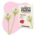 Pack Amigo de Trevo-Branco (Trifolium repens)