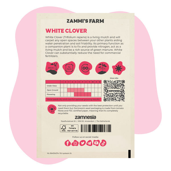 Pack Amigo de Trevo-Branco (Trifolium repens)