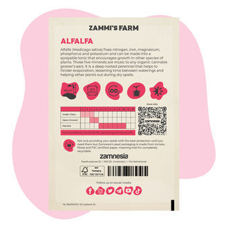 Pack de Amigos de Alfafa (Medicago sativa)