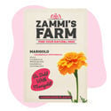 Pacote Amigo de Malmequer (Calendula officinalis)