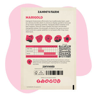 Pacote Amigo de Malmequer (Calendula officinalis)