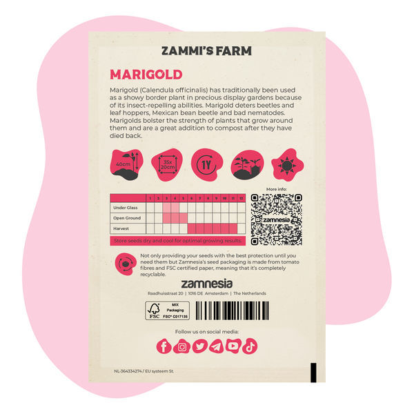 Pacote Amigo de Malmequer (Calendula officinalis)